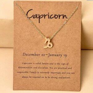 🎉 New Capricorn Zodiac Gold Plated Necklace